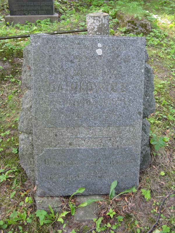 Nagrobek Wincentego Daniłowicza, cmentarz na Rossie w Wilnie, stan z 2013 r.