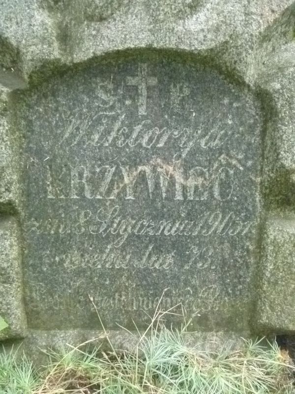 Fragment nagrobka Wiktorii Krzywiec, cmentarz na Rossie, stan z 2013 roku