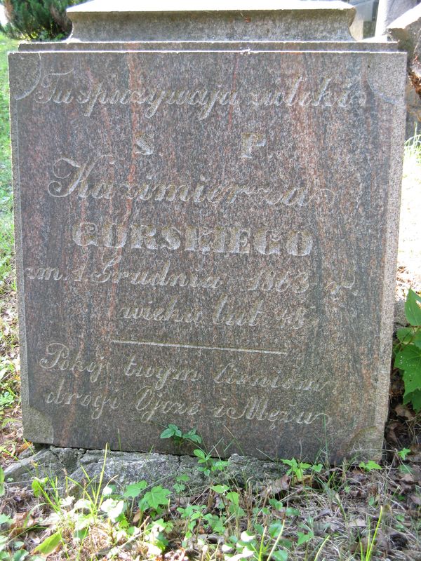 Nagrobek Emilii i Kazimierza Górskich, cmentarz na Rossie w Wilnie, stan z 2013 r.