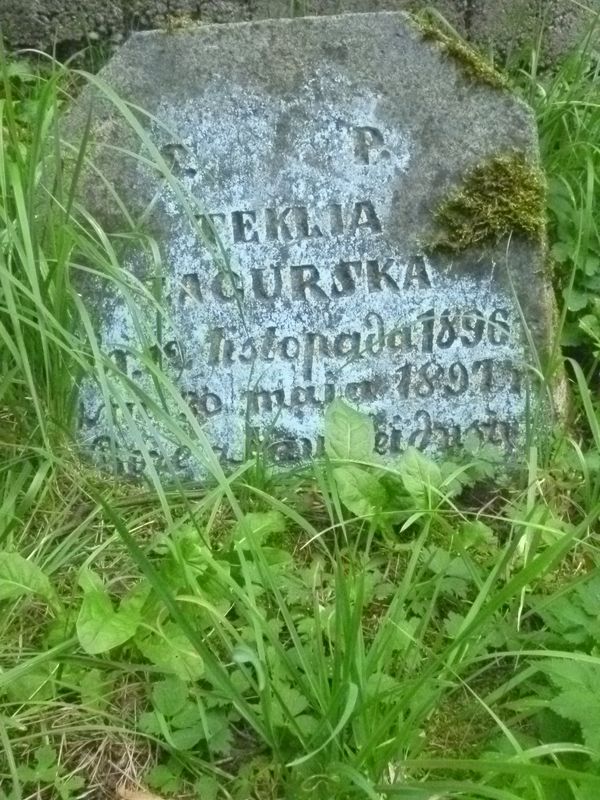 Tombstone of Tekla Zagurska, Ross cemetery, as of 2013