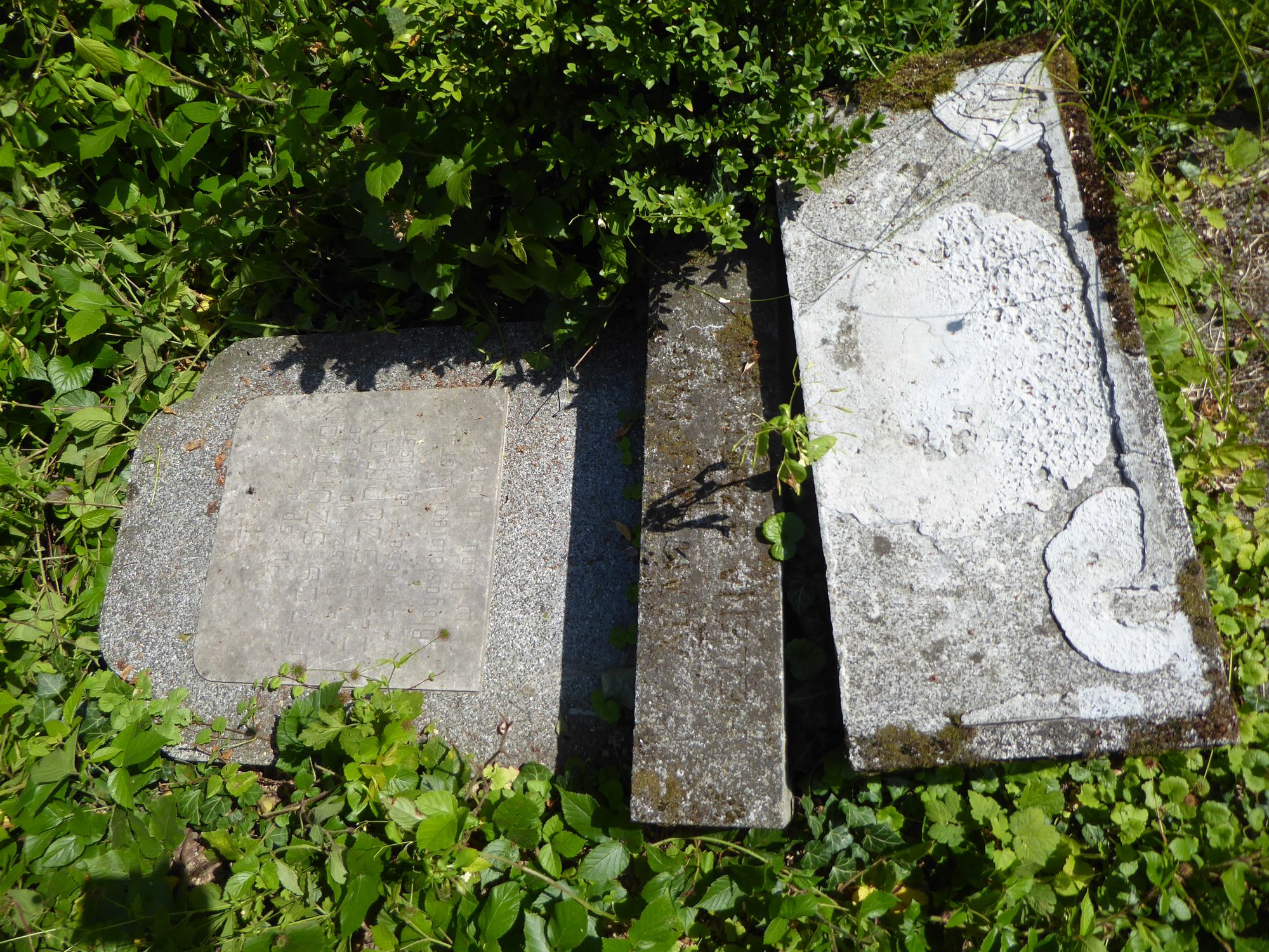Fragment nagrobka Jerzego Szurmana, Ewy Szurman, Adama Szurmana i Heleny Szurmanowej z cmentarza czeskiej części Śląska Cieszyńskiego, stan z 2022 r.