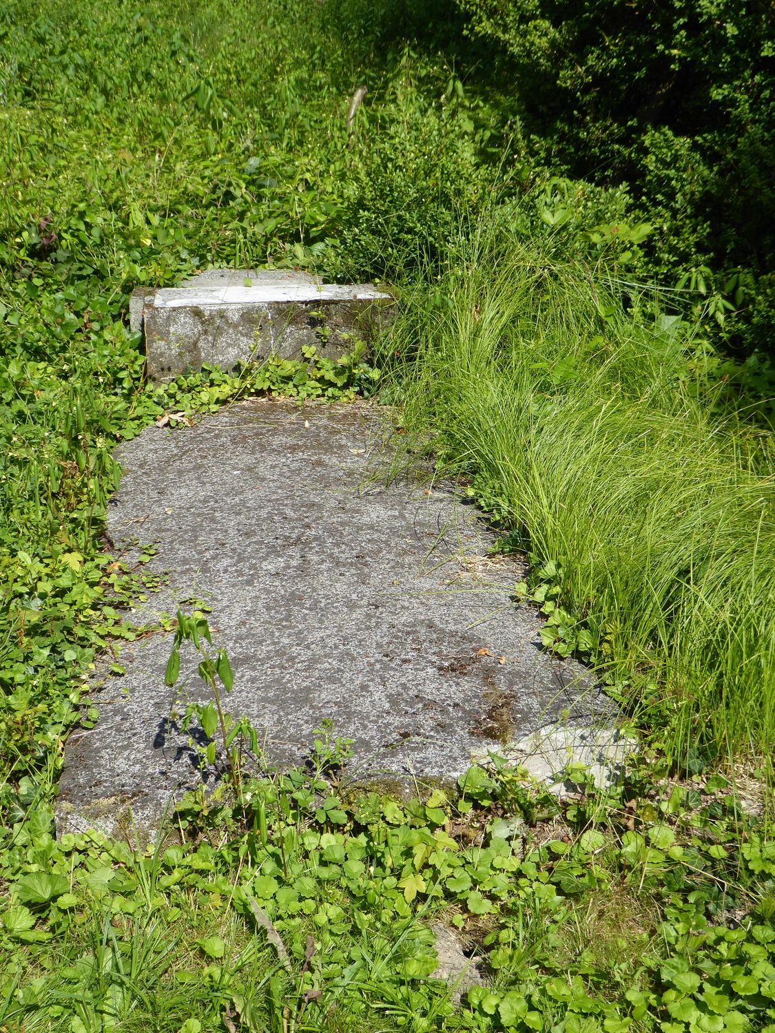 Tombstone of Jerzy Szurman, Ewa Szurman, Adam Szurman and Helena Szurmanová from the cemetery of the Czech part of Těšín Silesia, as of 2022.
