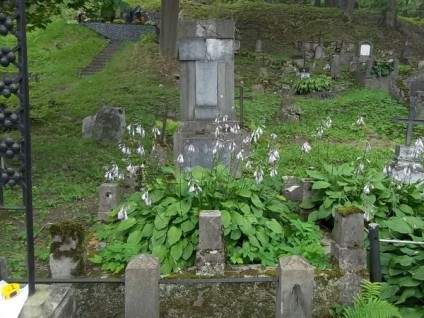 Nagrobek Tomasza Skwarczyńskiego, cmentarz Na Rossie w Wilnie, stan z 2013