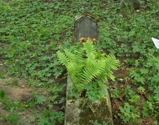 Nagrobek Tekli Uzorko, cmentarz Na Rossie w Wilnie, stan z 2013