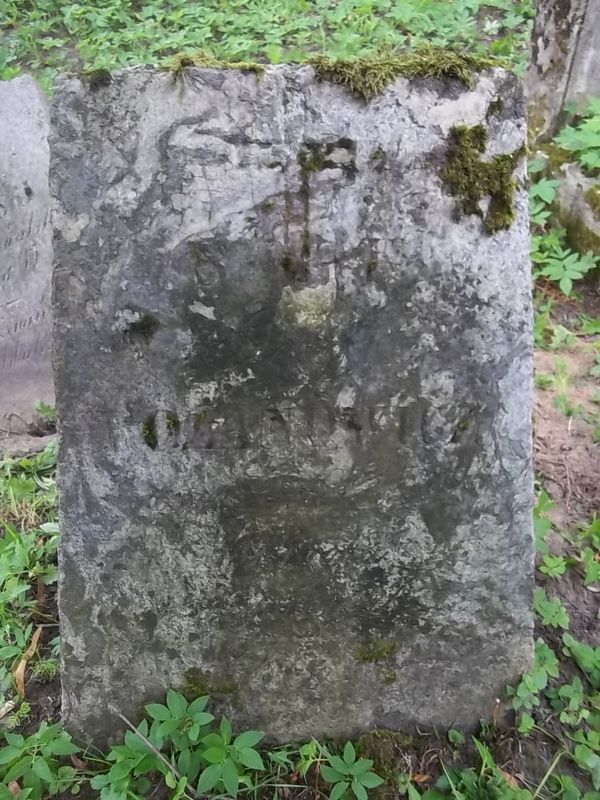Nagrobek Józefa Rozanowicza, cmentarz Na Rossie w Wilnie, stan z 2013