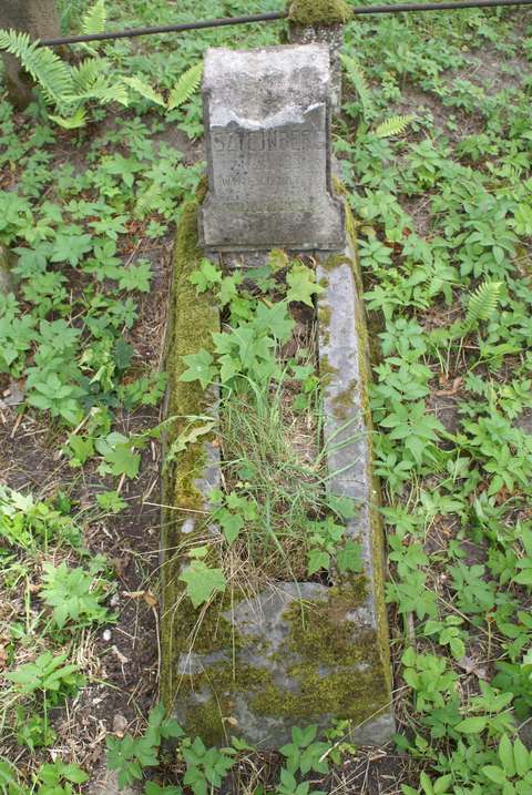 Tombstone of N.N. Shtejnberg, Na Rossie cemetery in Vilnius, as of 2013