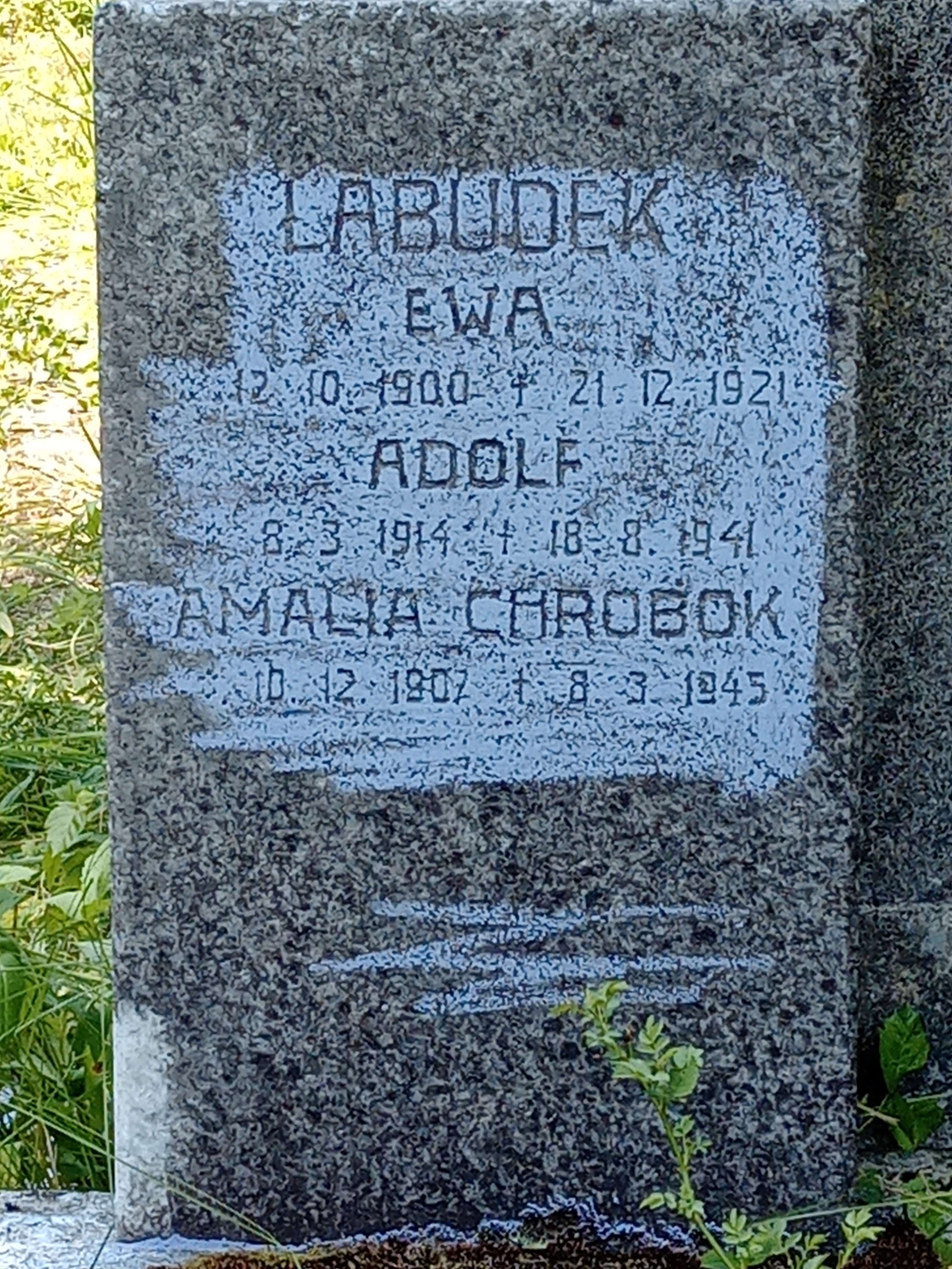 Fotografia przedstawiająca Nagrobek rodziny Łabudków i Amalii Chrobok