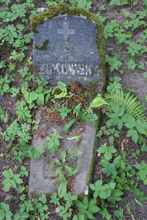 Tombstone of Helena Zhukowska, Na Rossie cemetery in Vilnius, state of 2013