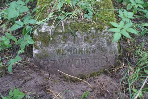 Inskrypcja nagrobka Weroniki Krzywobłockiej, cmentarz Na Rossie w Wilnie, stan z 2013