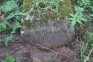 Photo montrant Tombstone of Weronika Krzywobłocka