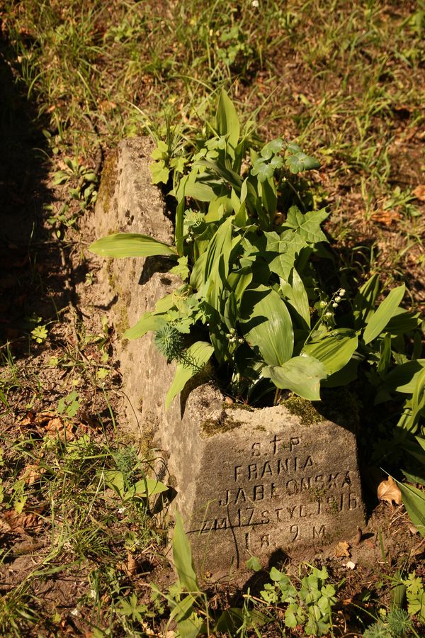 Nagrobek Franciszki Jabłońskiej, cmentarz Na Rossie w Wilnie, stan z 2013