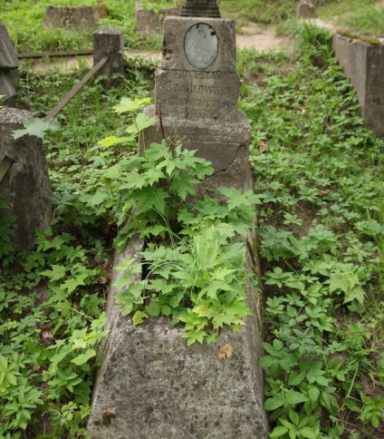 Nagrobek Bolesława Szabłowskiego, cmentarz Na Rossie w Wilnie, stan z 2013