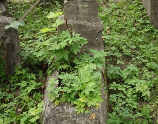 Nagrobek Bolesława Szabłowskiego, cmentarz Na Rossie w Wilnie, stan z 2013