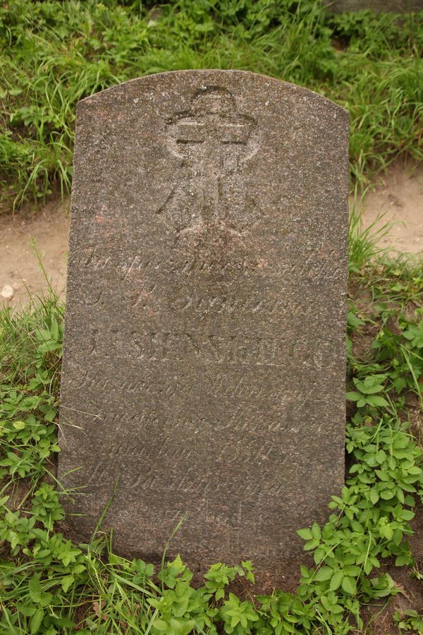 Nagrobek Szymona Jasieńskiego, cmentarz Na Rossie w Wilnie, stan z 2013