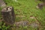 Photo showing Tombstone of Karol Chesiok