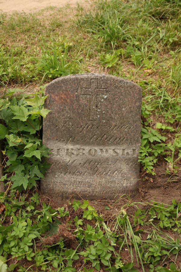 Nagrobek Adama Żebrowskiego, cmentarz Na Rossie w Wilnie, stan z 2013