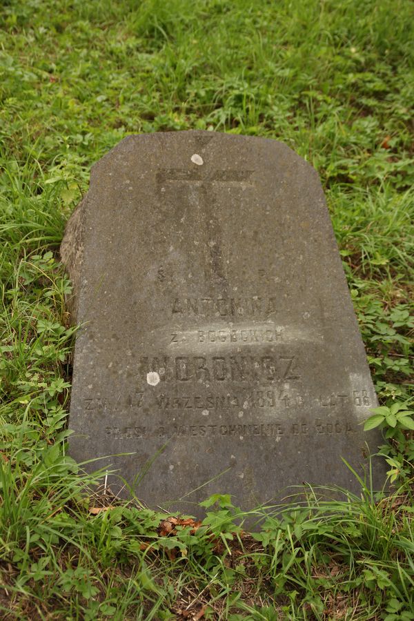 Tombstone of Antonina Voronicz, Na Rossie cemetery in Vilnius, as of 2013