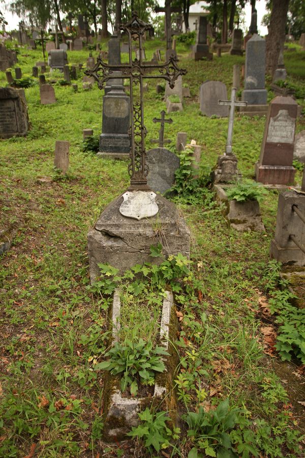 Nagrobek Julii Dobrowolskiej, cmentarz Na Rossie w Wilnie, stan z 2013