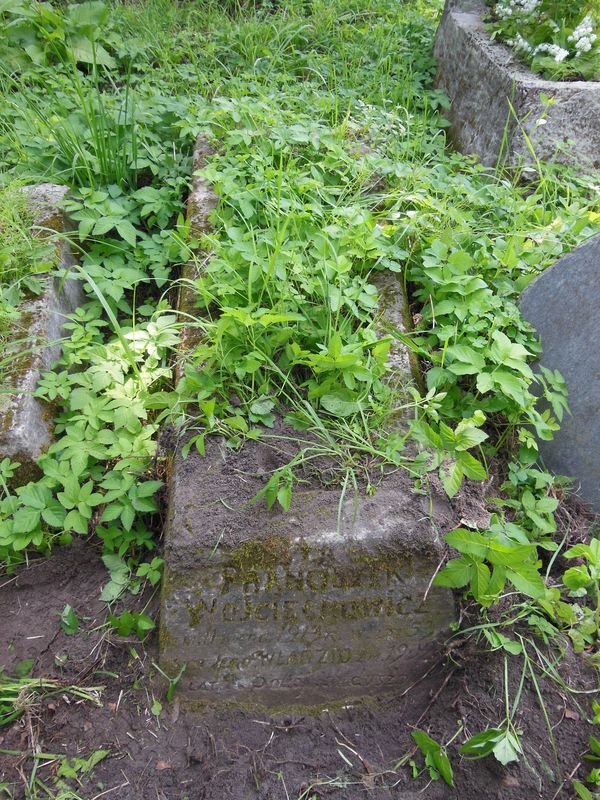 Nagrobek Franciszka i Władysława Wojciechowiczów, cmentarz Na Rossie w Wilnie, stan z 2013 r.
