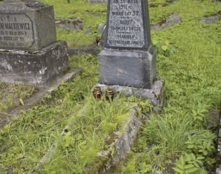 Nagrobek Heleny Wołkowicz, cmentarz Na Rossie w Wilnie, stan z 2013 r.