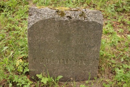 Nagrobek Klotyldy Czechowicz, cmentarz Na Rossie w Wilnie, stan z 2013