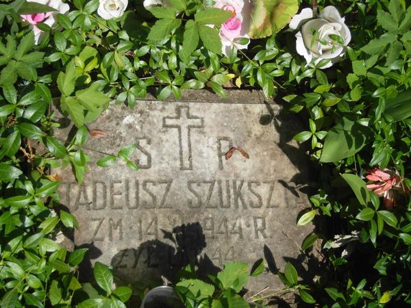 Fragment of the tombstone of Tadeusz and Zygmunt Szukszta, Ross Cemetery in Vilnius, as of 2013.