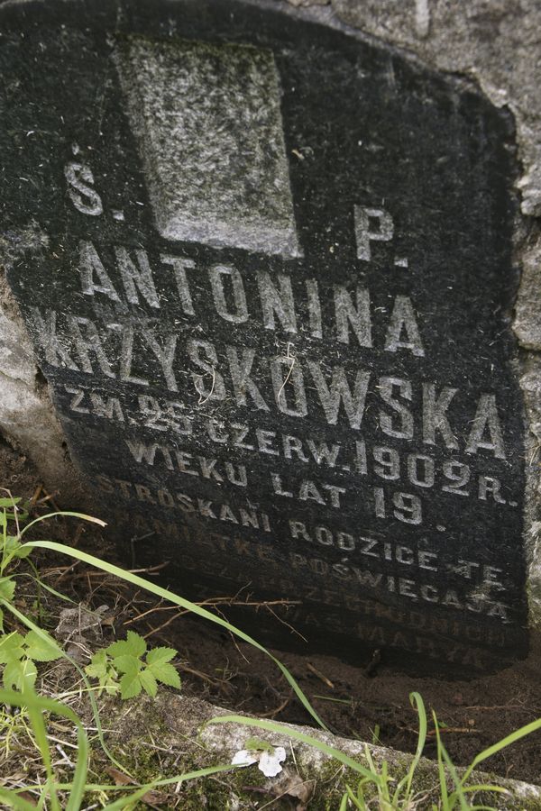 Inskrypcja z nagrobka Antoniny Krzyskowskiej, cmentarz Na Rossie w Wilnie, stan z 2013 r.