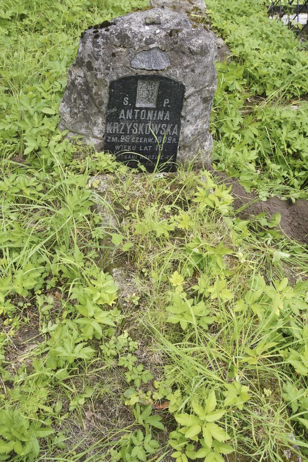 Nagrobek Antoniny Krzyskowskiej, cmentarz Na Rossie w Wilnie, stan z 2013 r.