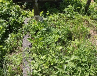 Nagrobek Nikodema Wiażela, cmentarz Na Rossie w Wilnie, stan z 2013 r.