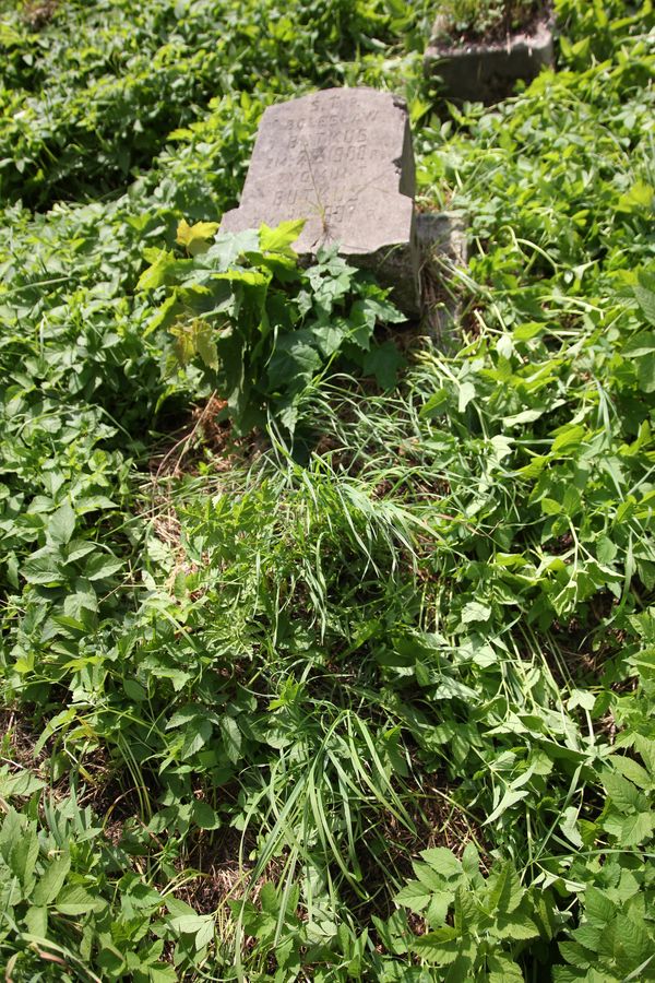 Nagrobek Bolesława i Zygmunta Butkusów, cmentarz Na Rossie w Wilnie, stan z 2013 r.