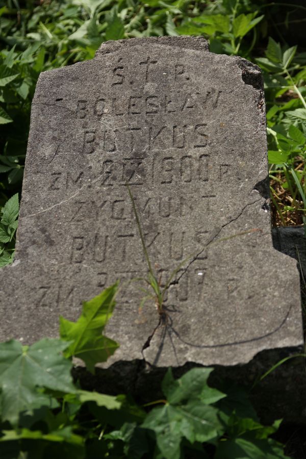 Nagrobek Bolesława i Zygmunta Butkusów, cmentarz Na Rossie w Wilnie, stan z 2013 r.