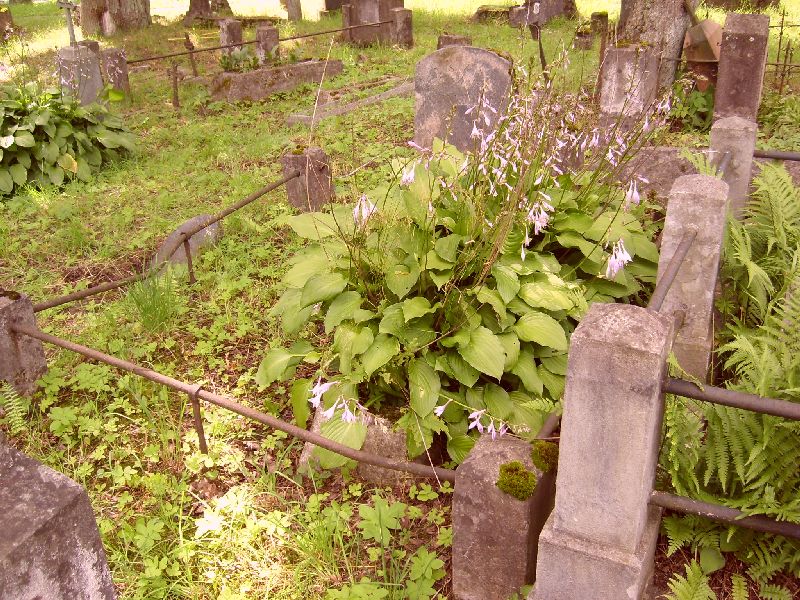 Nagrobek Andrzeja Gliżewskiego, cmentarz na Rossie w Wilnie, stan z 2014