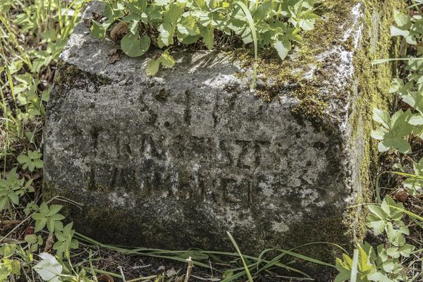 Inscription from the gravestone of Franciszek La[u]m[...]e[i]e, Na Rossa cemetery in Vilnius, as of 2013.