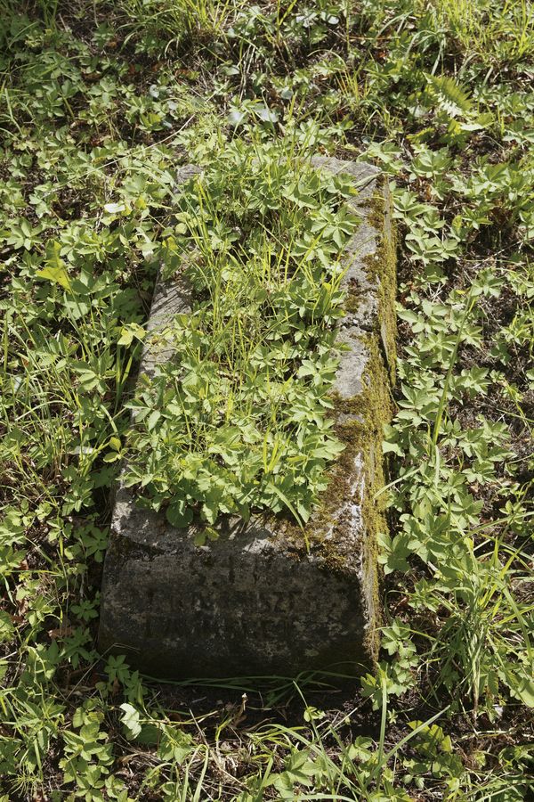 Tombstone of Franciszek La[u]m[...]e[i]n, Na Rossa cemetery in Vilnius, as of 2013.