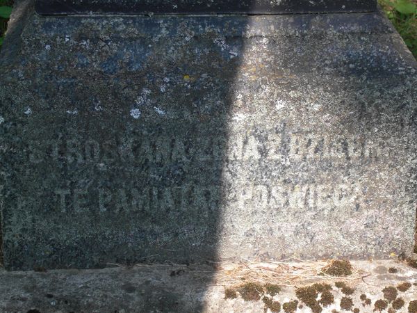 Fragment nagrobka Stanisława i Tekli Jakowicz, cmentarz na Rossie w Wilnie, stan z 2013 r.