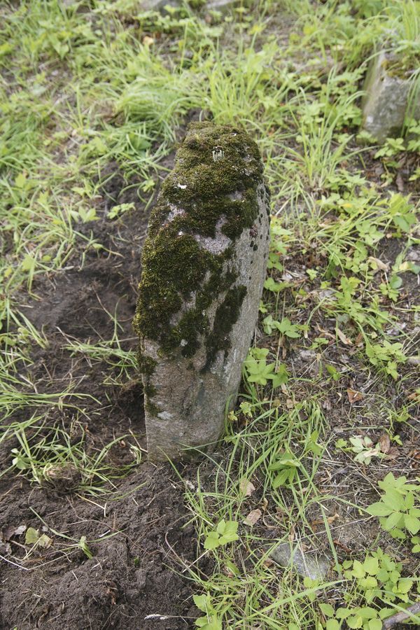 Fragment nagrobka Karoliny Kochanowskiej, cmentarz Na Rossie w Wilnie, stan z 2013 r.