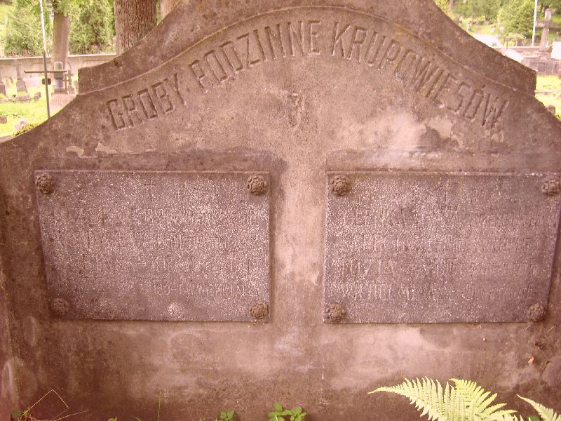 Fragment of the tomb of the Krupowies family, Ross Cemetery in Vilnius, state of 2014
