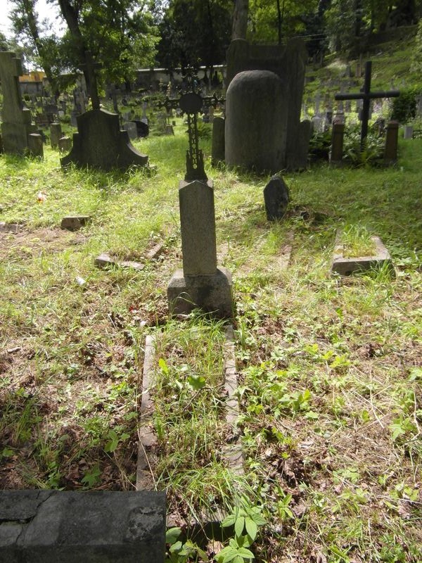 Nagrobek Jana Barana, cmentarz na Rossie w Wilnie, stan z 2014