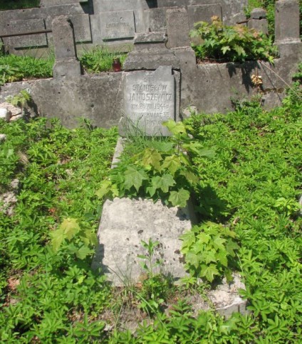 Nagrobek Stanisława Januszewicza, cmentarz na Rossie w Wilnie, stan na 2013 r.