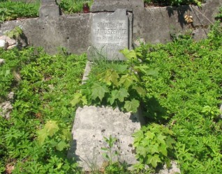 Nagrobek Stanisława Januszewicza, cmentarz na Rossie w Wilnie, stan na 2013 r.