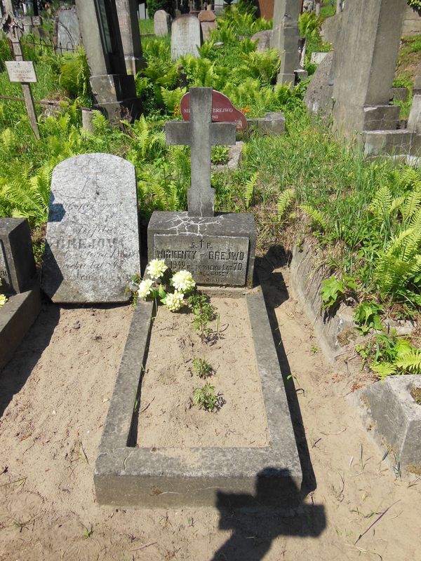 Nagrobek Wincentego Brejwy, cmentarz Na Rossie w Wilnie, stan z 2013