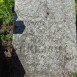 Fotografia przedstawiająca Tombstone of Teofila Brejowa