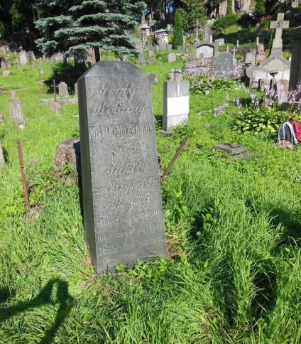 Nagrobek Jakuba i Stanisława Mecelic-Micewiczów, cmentarz Na Rossie w Wilnie, stan z 2013