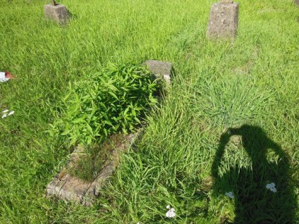 Nagrobek Franciszka Mierzyńskiego, cmentarz Na Rossie w Wilnie, stan z 2013