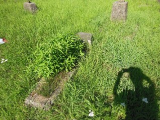 Nagrobek Franciszka Mierzyńskiego, cmentarz Na Rossie w Wilnie, stan z 2013