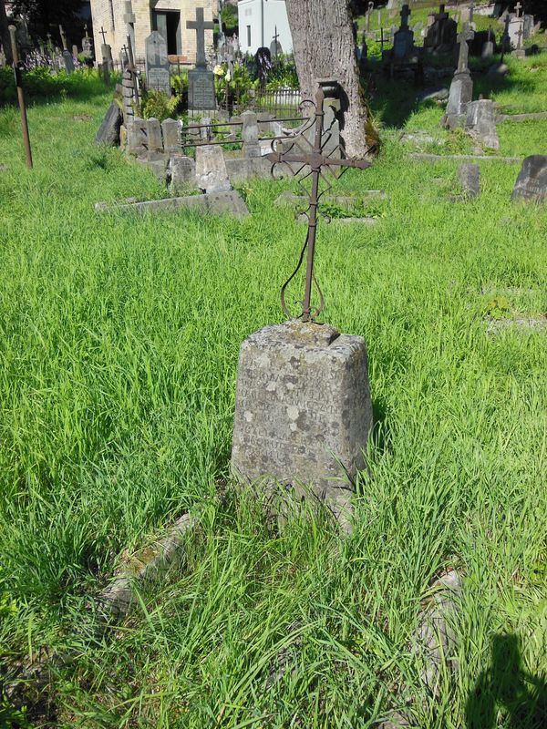 Nagrobek rodziny Mierzyńskich, cmentarz Na Rossie w Wilnie, stan z 2013