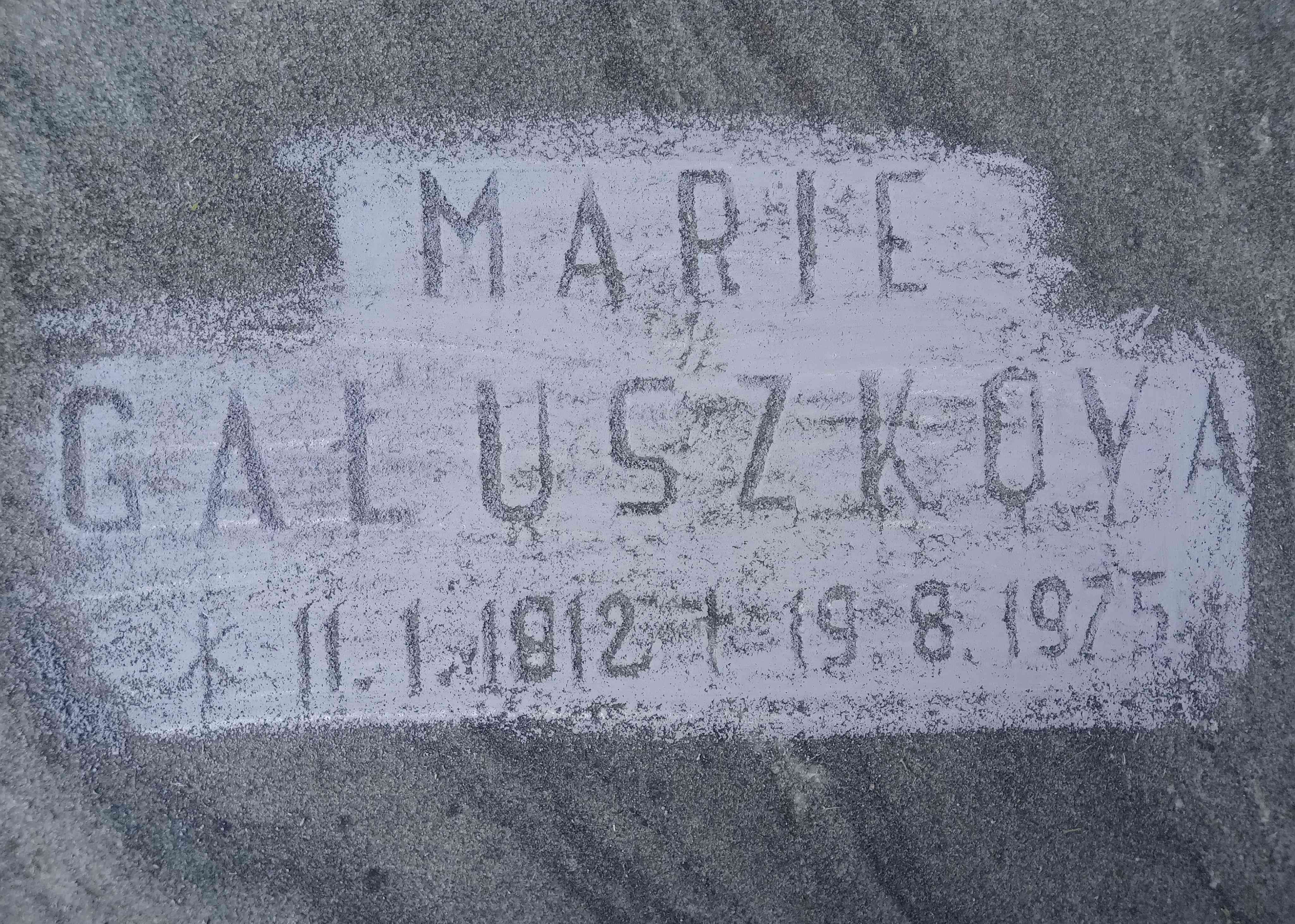 Fotografia przedstawiająca Tombstone of Henrika Schneiderová, Maria Galuszkova, Maria Havrankova and Maria Jurczykova