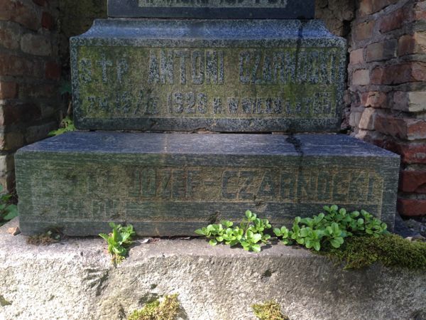 Fragment of a tombstone of the Czarnocki family, Ross cemetery, as of 2013
