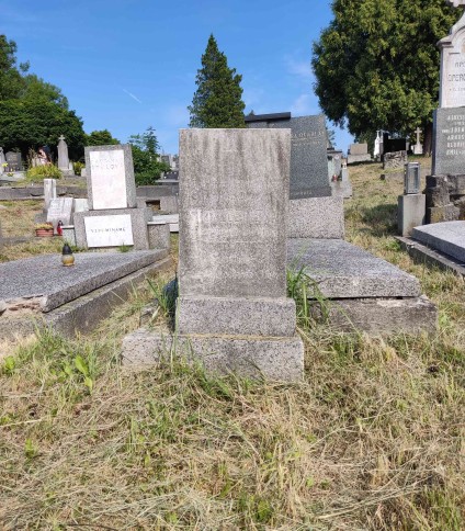 Nagrobek Henryki Stokłosińskiej z stelą z wyrytym krzyżem i inskrypcją. Stela stoi na cokole otoczonym trawą na cmentarzu.