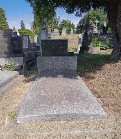 Grób Anny i Pawła Puchałów z stelą na cokole. Przed stelą znajduje się płyta. Do steli przylega tablica inskrypcyjna z krzyżem. Po prawej prostopadłościan z pozostałościami mocowania.